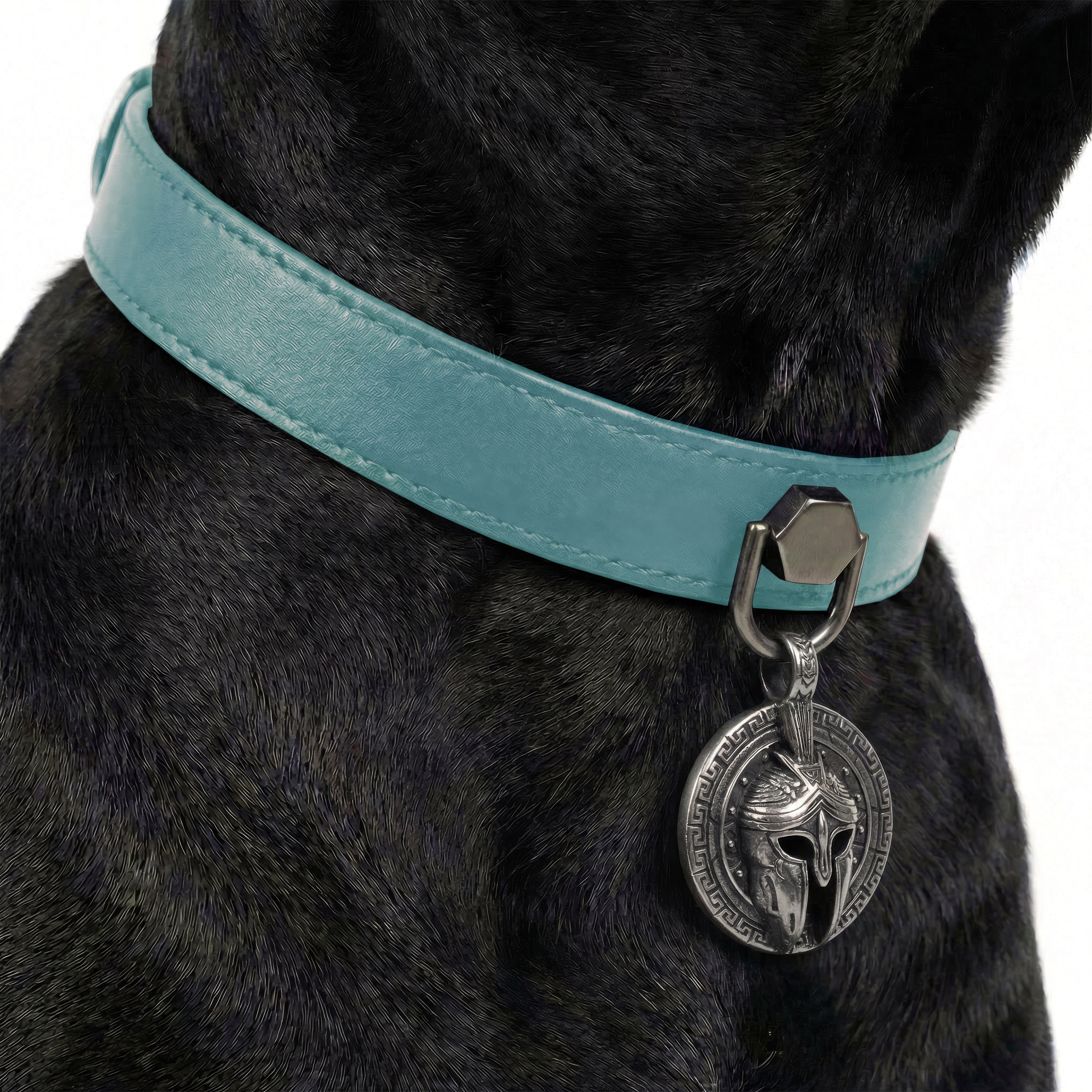 Preview - Turquoise Drengr