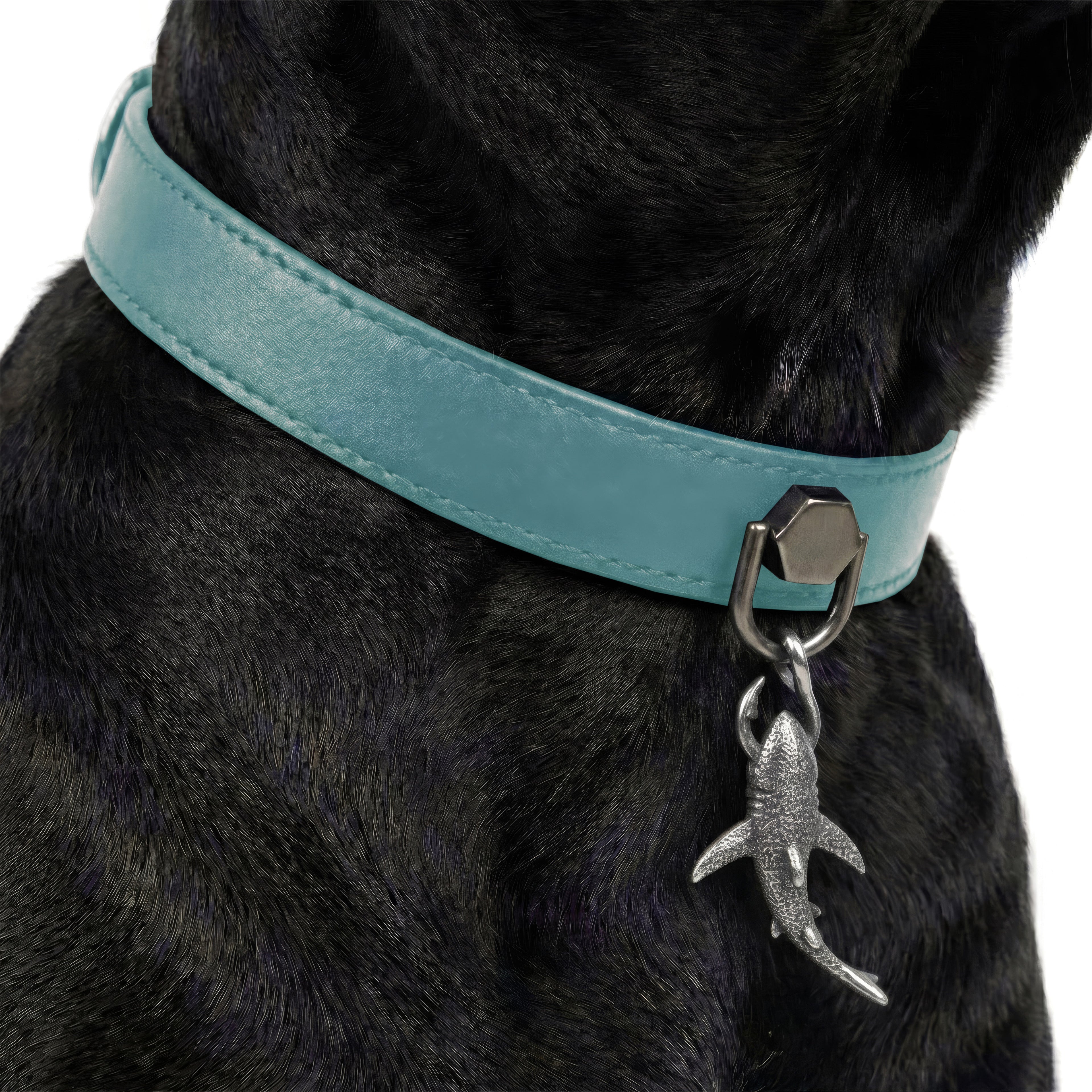Preview - Turquoise Apex