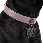 Preview - Pink Axes