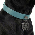 Preview - Turquoise Axes