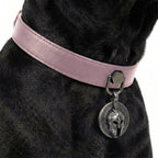 Preview - Pink Drengr