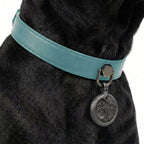 Preview - Turquoise Eden