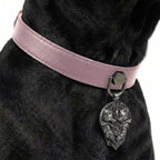 Preview - Pink Feral