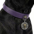 Preview - Purple Golden Skull