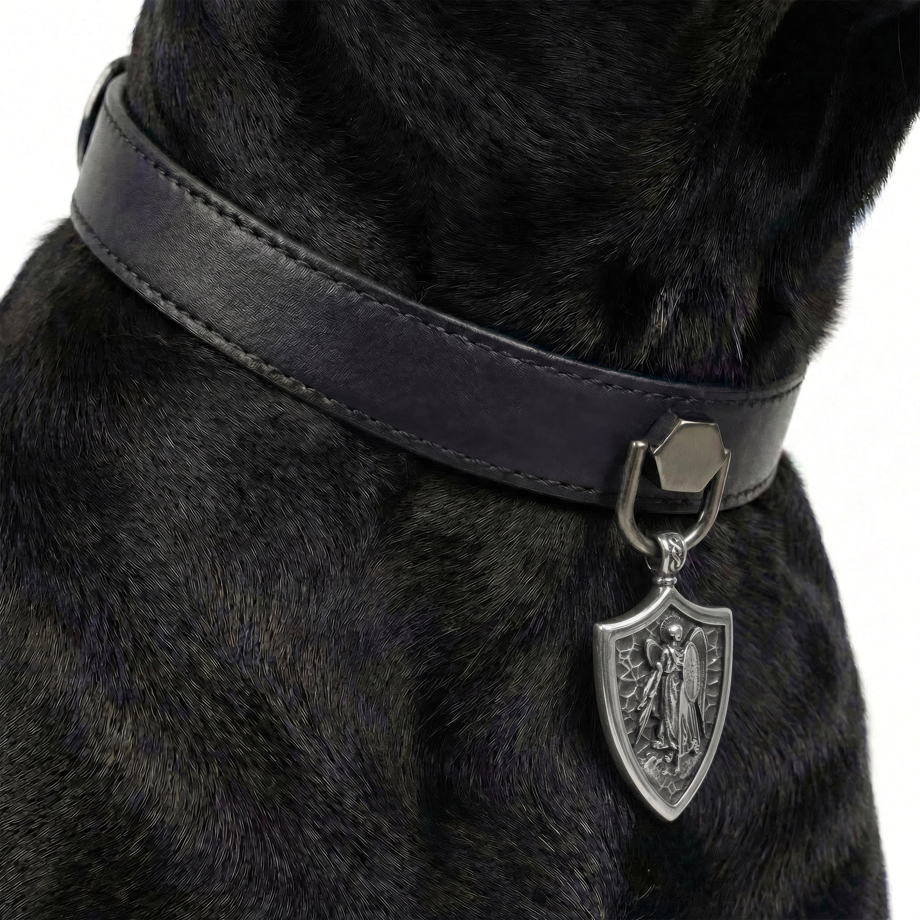 Preview - Black Guardian