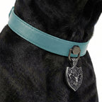 Preview - Turquoise Horn