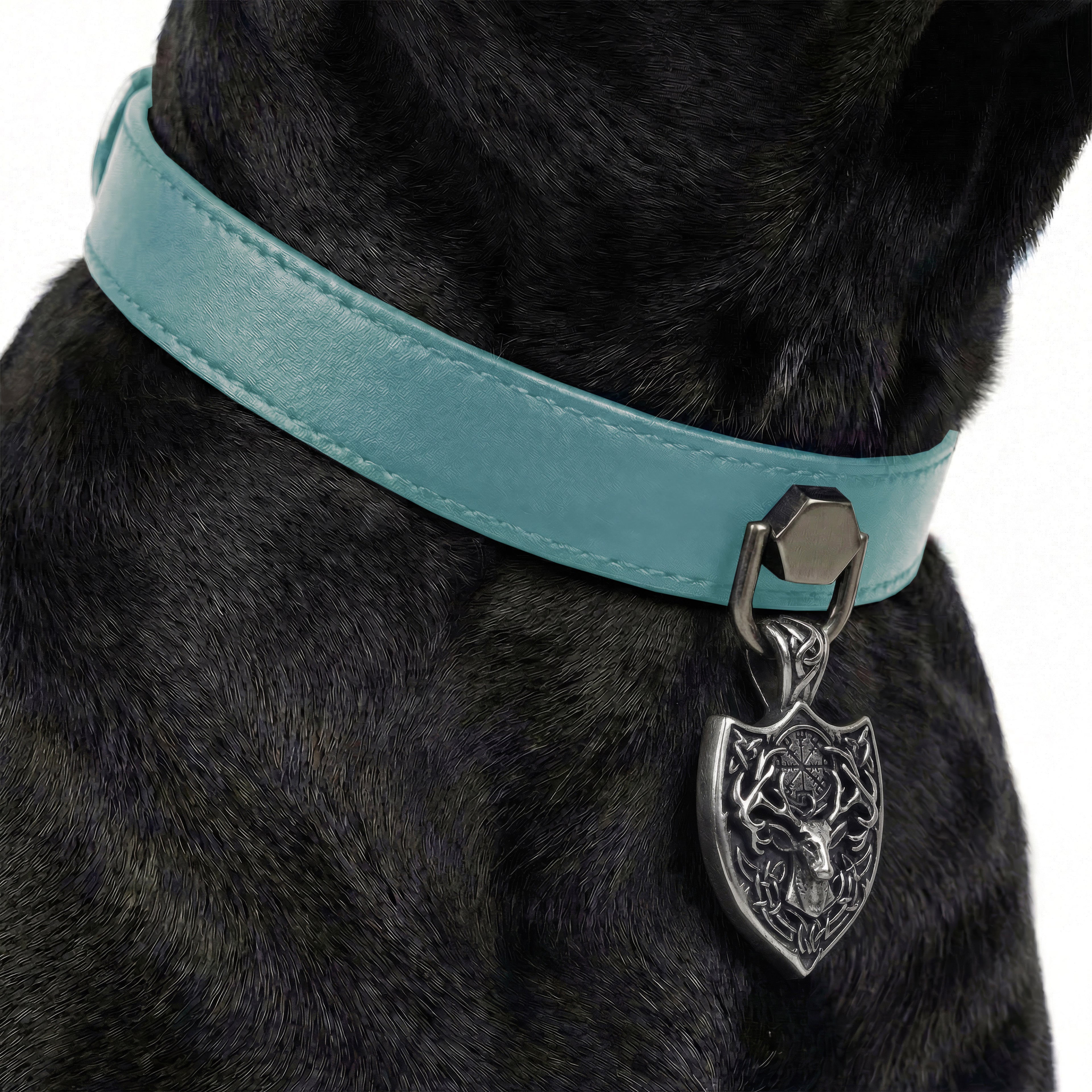 Preview - Turquoise Horn