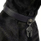 Preview - Black Punisher