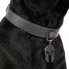 Preview - Grey Punisher