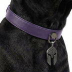 Preview - Purple Punisher