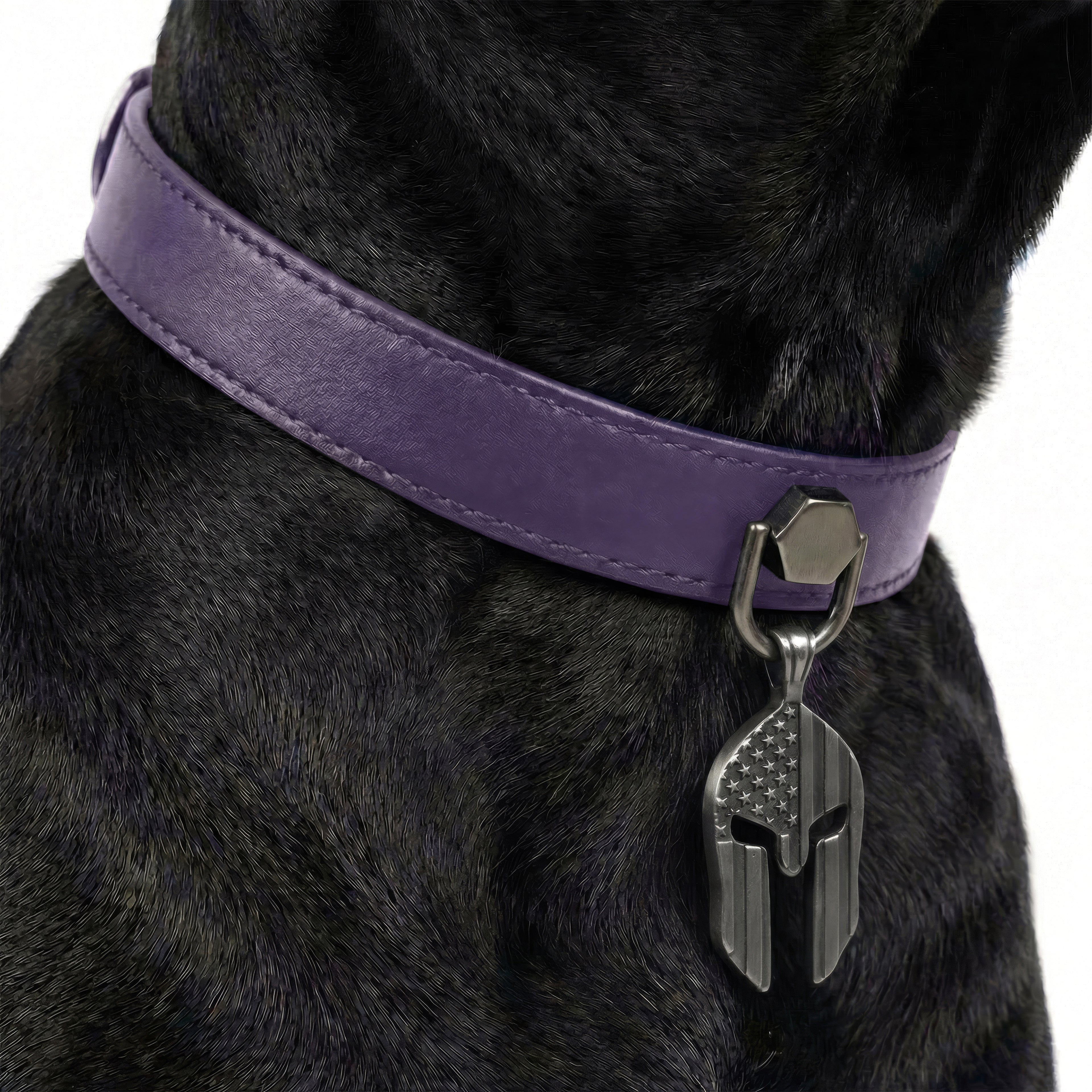 Preview - Purple Punisher