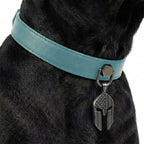 Preview - Turquoise Punisher