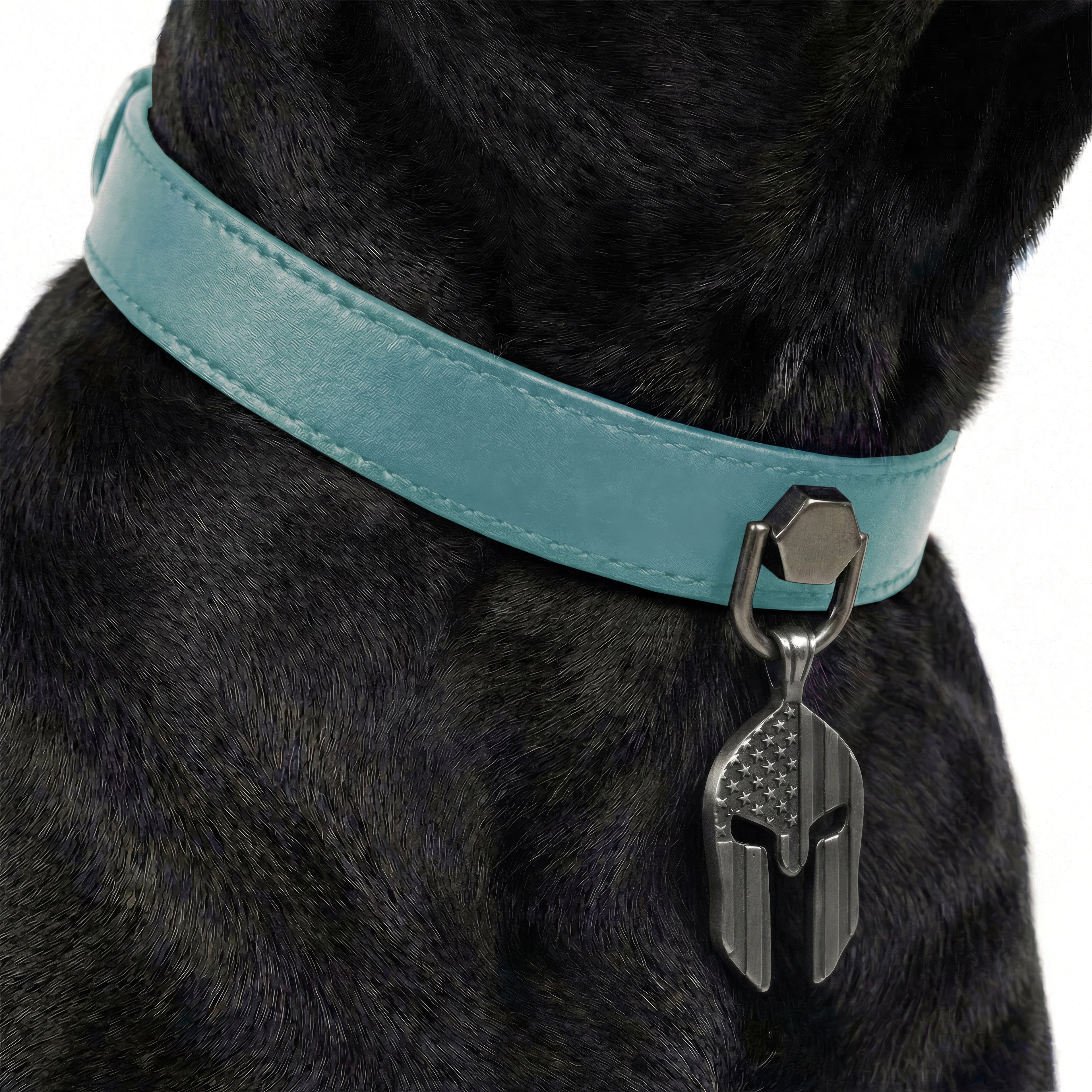 Preview - Turquoise Punisher