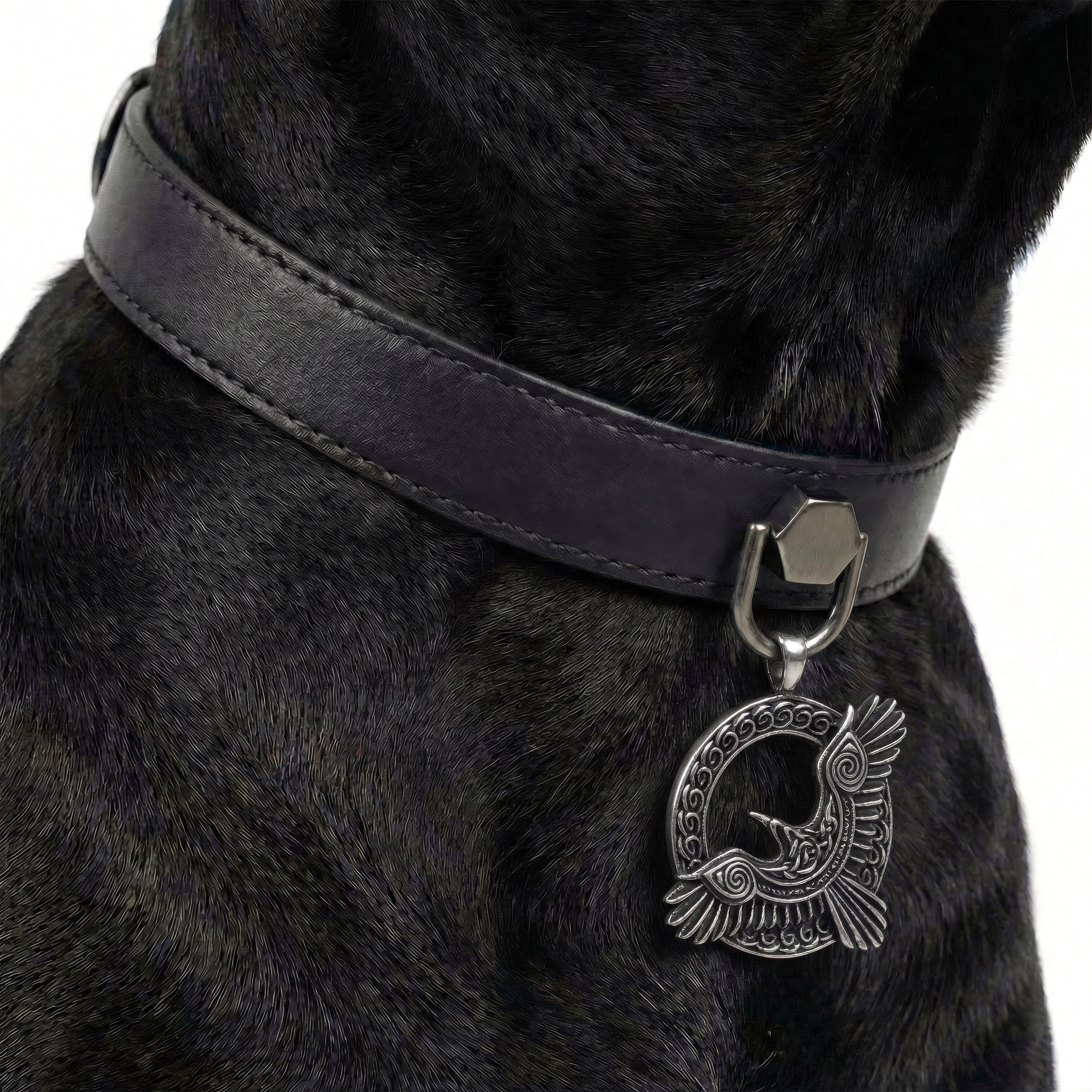 Preview - Black Raven