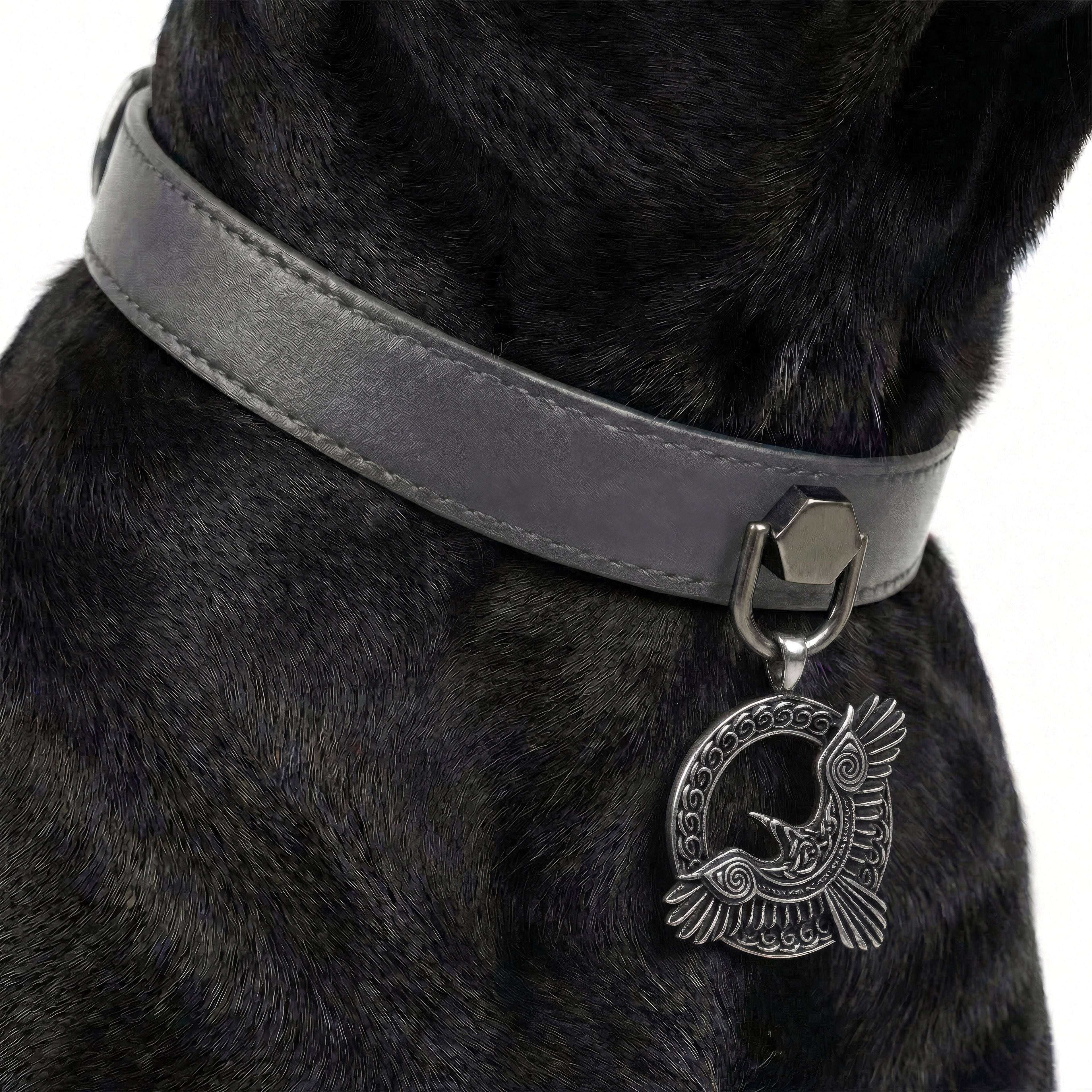 Preview - Grey Raven