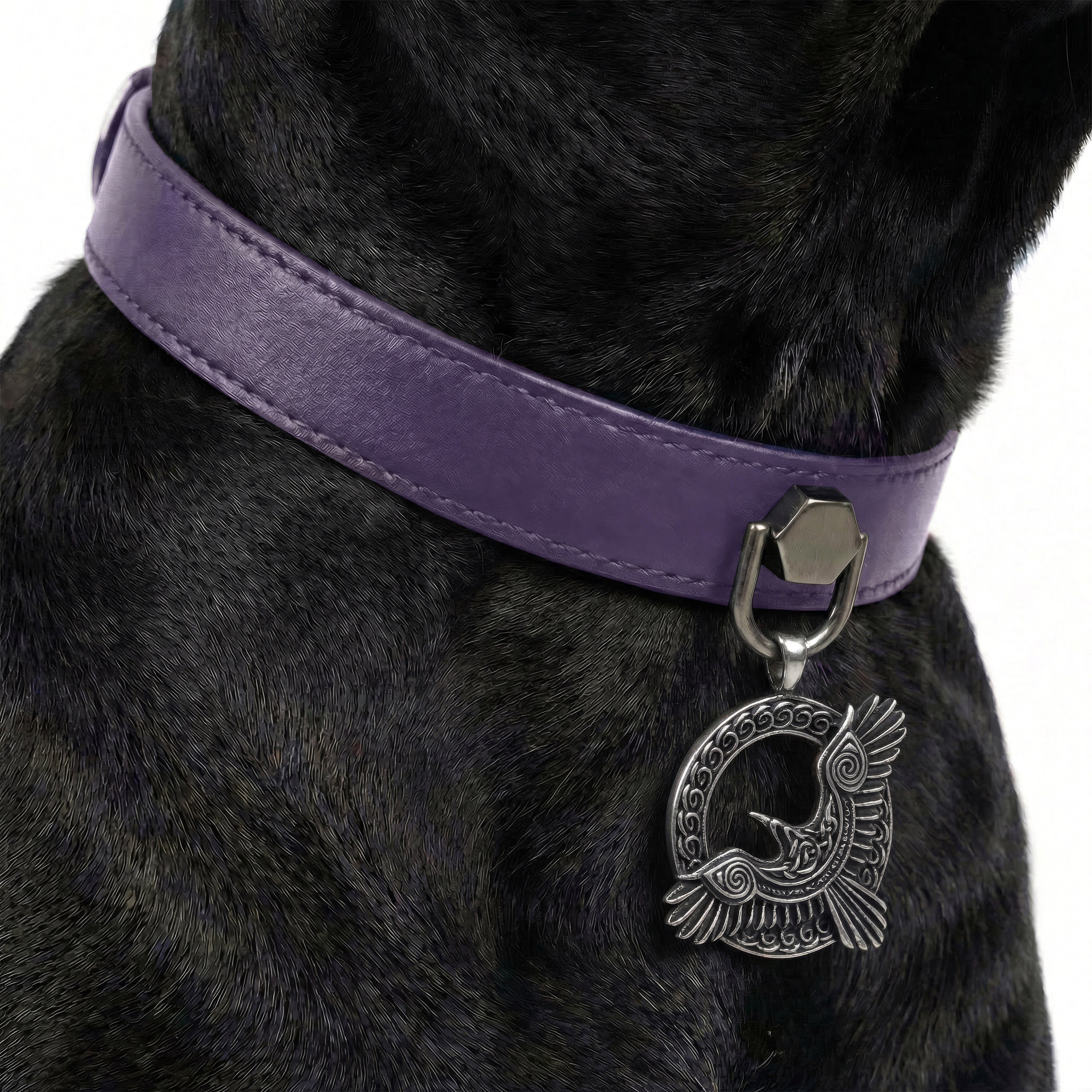 Preview - Purple Raven