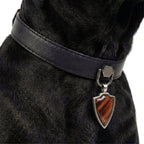 Preview - Black Red Tiger Eye