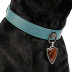 Preview - Turquoise Red Tiger Eye