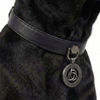 Preview - Black Sigil