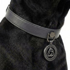 Preview - Grey Sigil