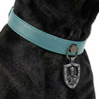 Preview - Turquoise Sovereign