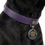 Preview - Purple Trinity