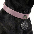 Preview - Pink Valor