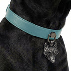 Preview - Turquoise Wolf